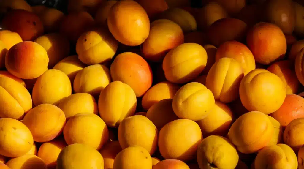 apricot butter